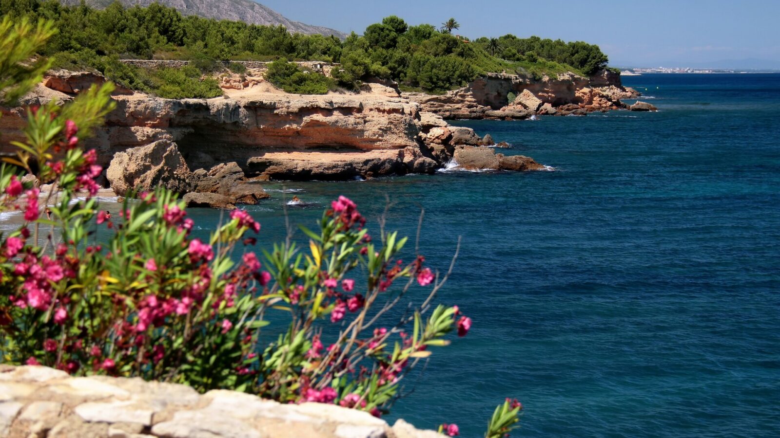 Vista de Cala Xelín