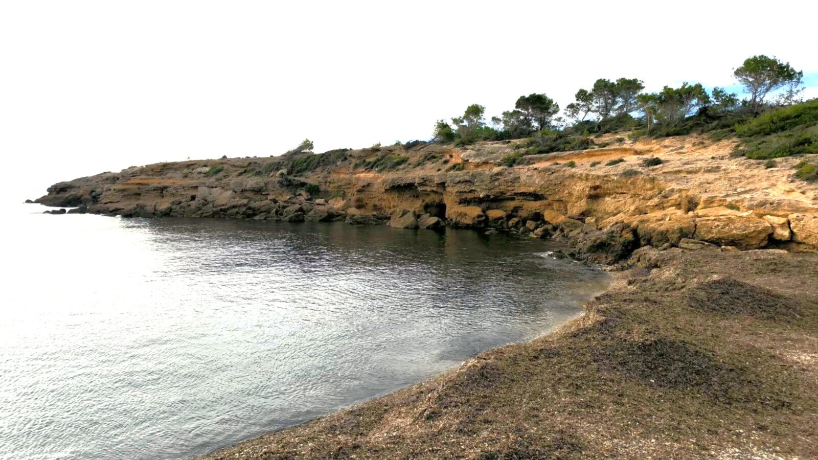 Vista de Cala Bon Caponet