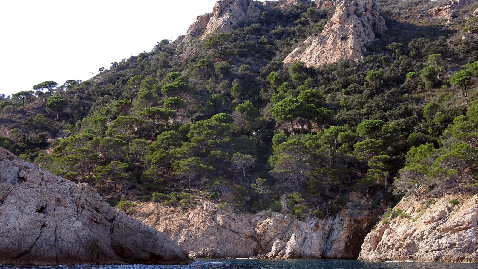 Vista de Cala Bona