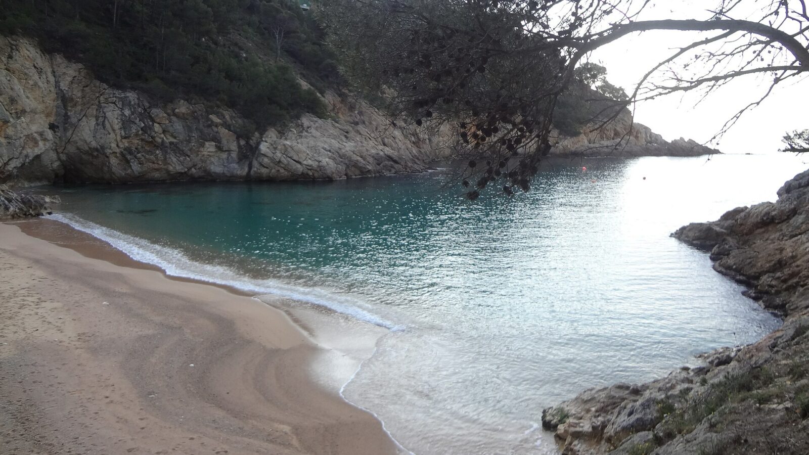 Vista de Cala Pola