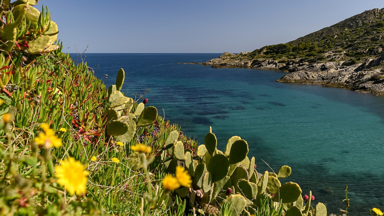 Vista de Platja de Tamariua