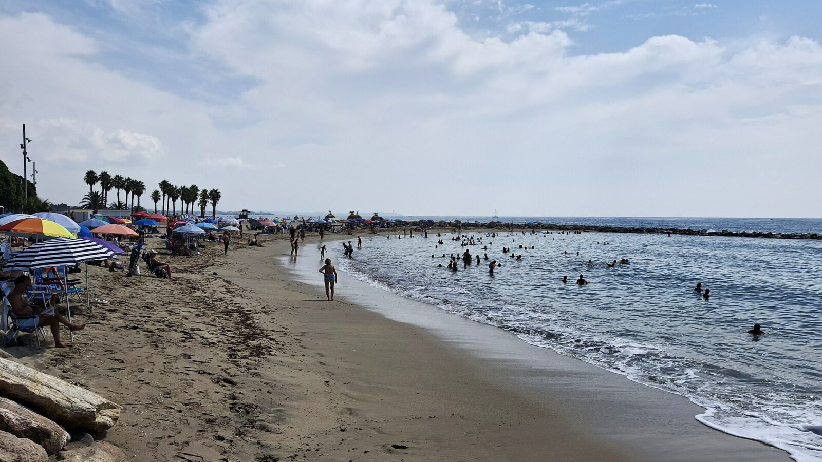 Vista de Platja de l'Ardiaca