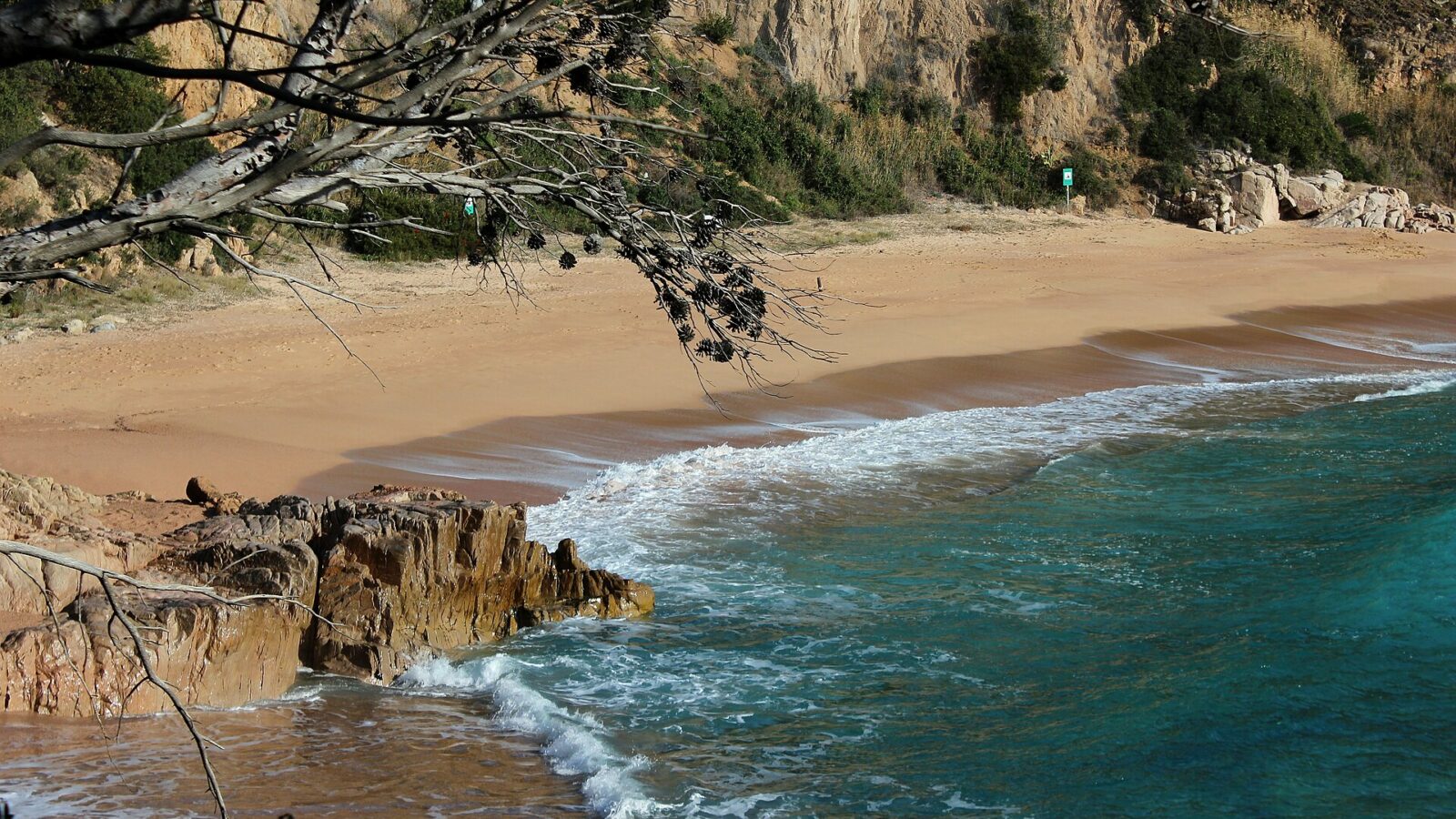 Vista de Platja dels Canyerets