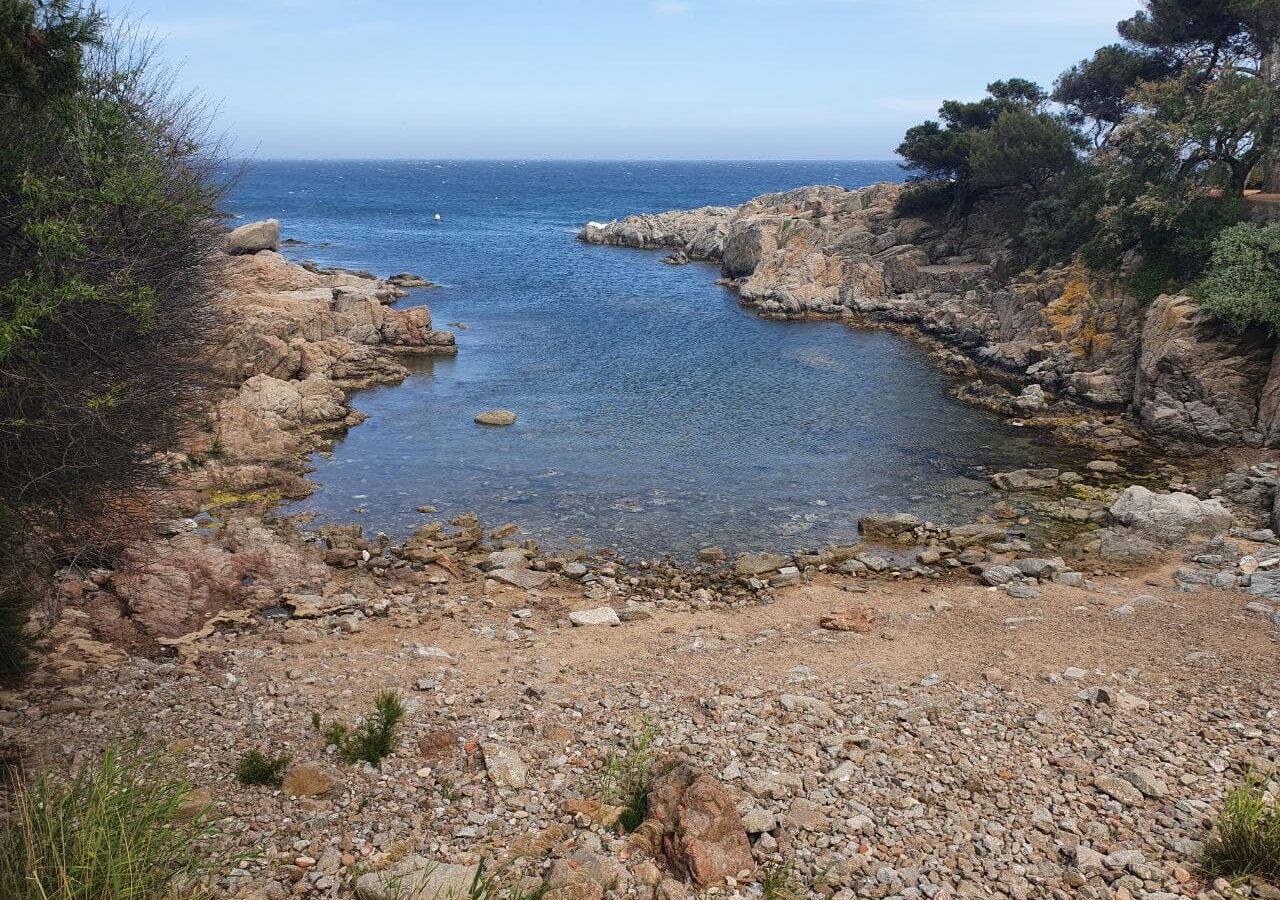 Vista de Cala Pedrosa