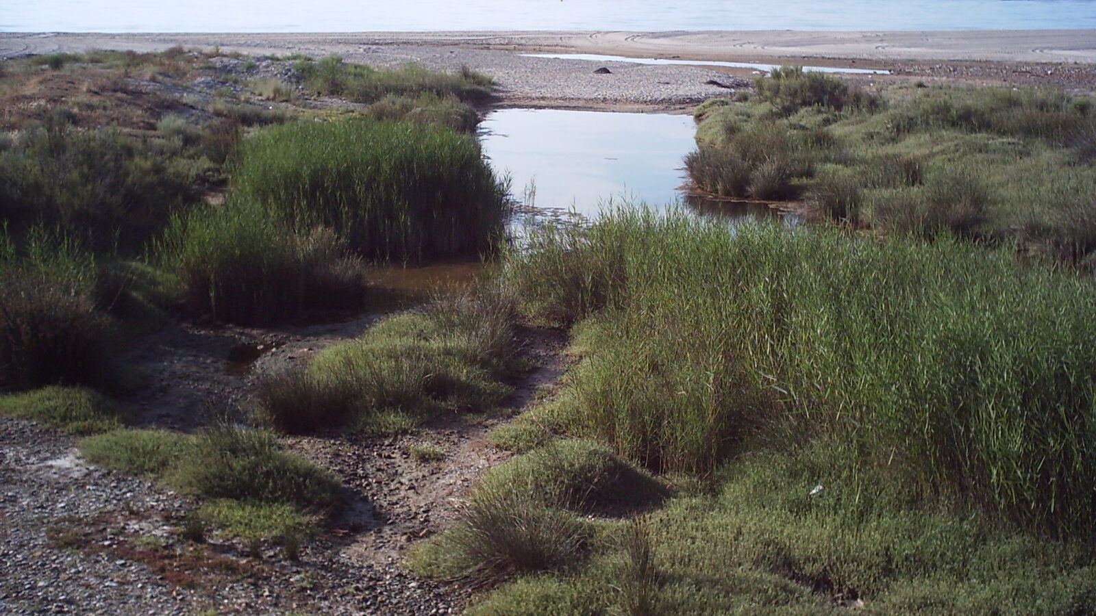 Vista de Platja de la Punta del Riu