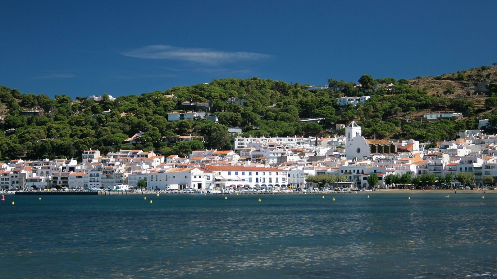 Vista de Platja del Port de la Selva